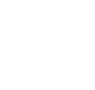 Muletown Digital Web Design & Web Development (Williamsport, TN & Columbia, TN)
