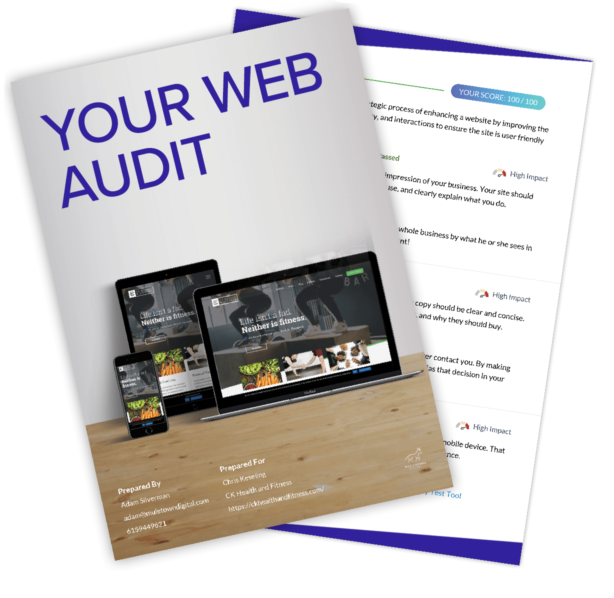 ck-audit Muletown Digital Website Audit